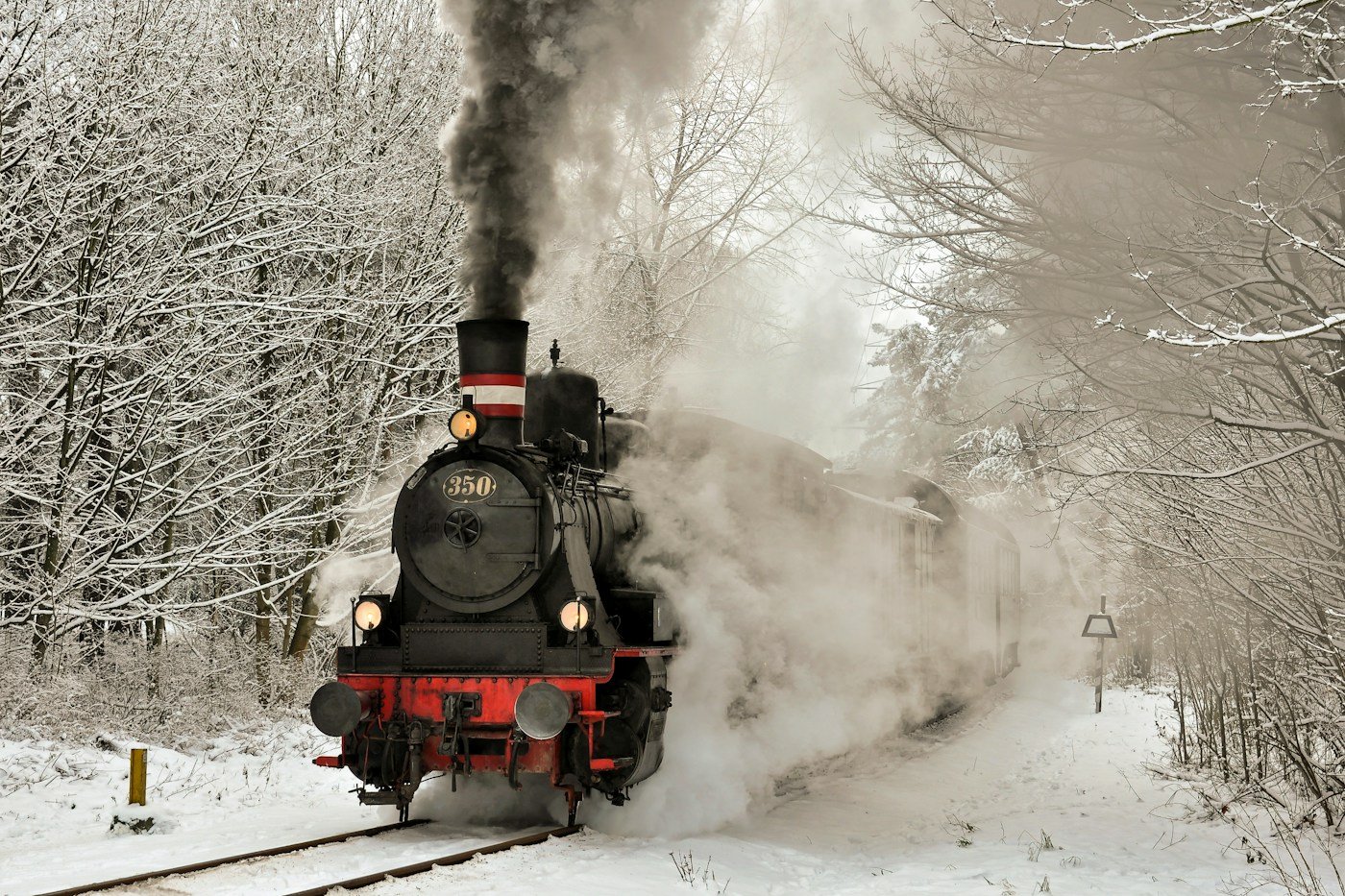 Steam locomotive pulling a passenger train through a snowy forest (illustrative photo by Wolfgang Weiser on Unsplash, not the Great Smoky Mountains Railroad)