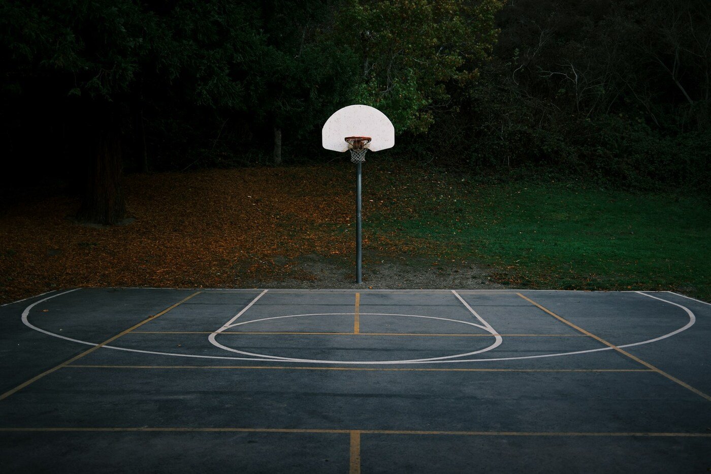Empty outdoor basketball court with a hoop at dusk (illustrative photo by Kellen Riggin on Unsplash, not First Horizon Coliseum)